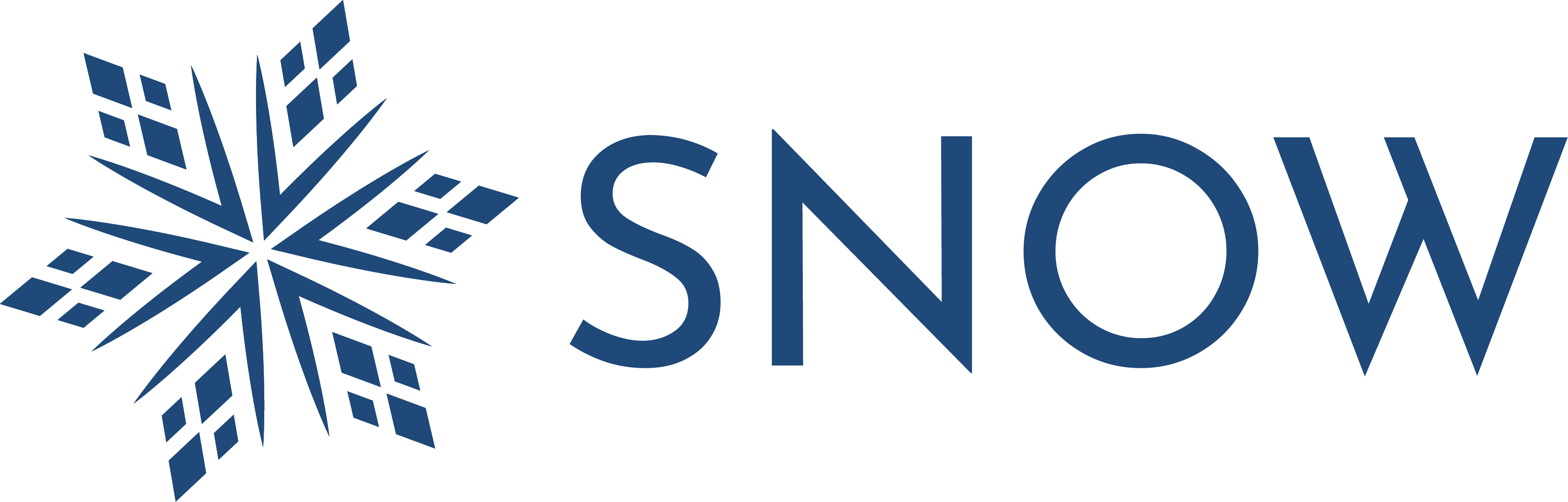 Snow Logo